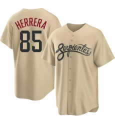 Men Arizona Diamondbacks Jose Herrera Nike 2021 City Connect Authentic MLB Jersey Gold